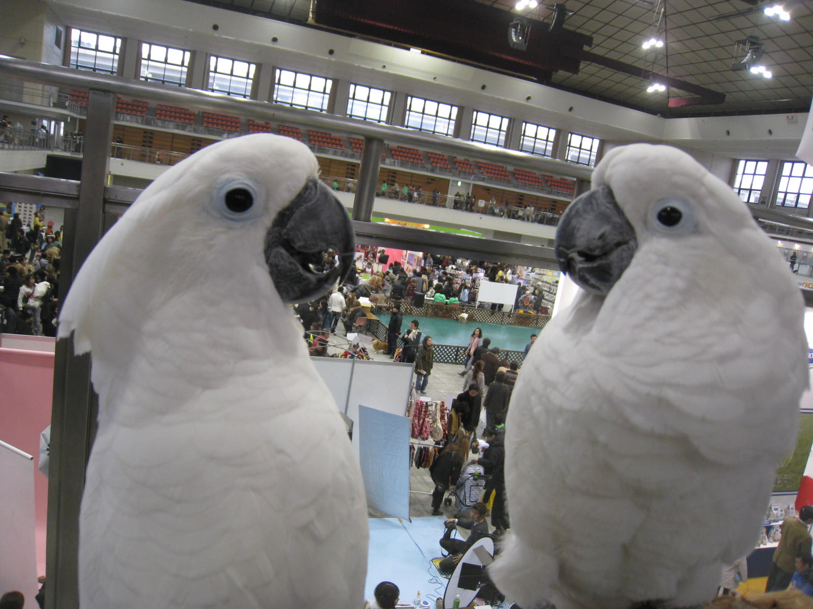 e0107730_20382034.jpg