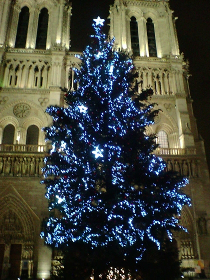 e0106231_1521596.jpg