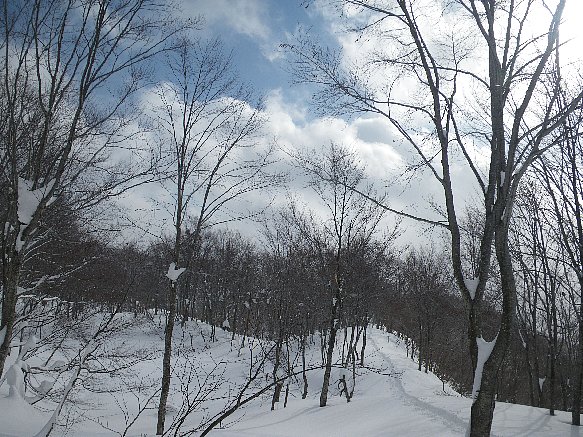 f0118332_235682.jpg