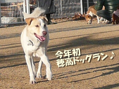 d0140133_1434416.jpg