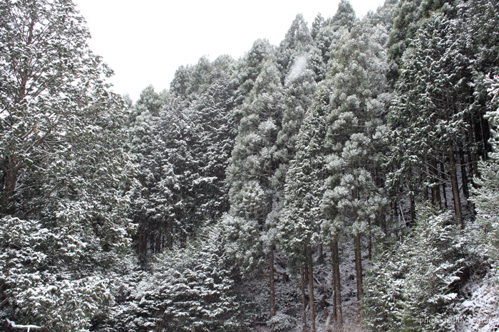 e0083238_2031728.jpg