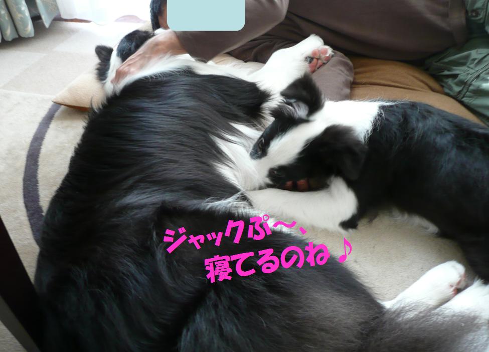 c0147241_23101759.jpg