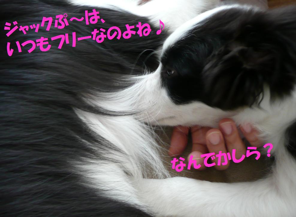 c0147241_23102423.jpg