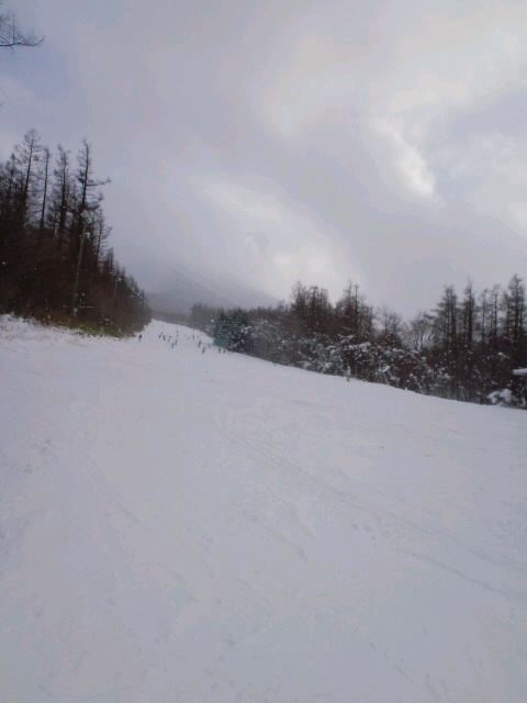 d0002143_23291678.jpg
