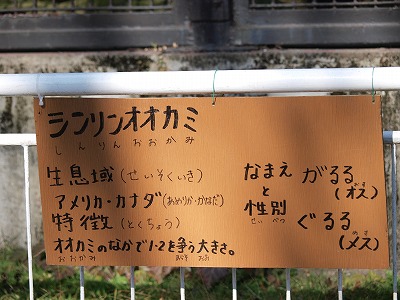 c0191646_0112217.jpg