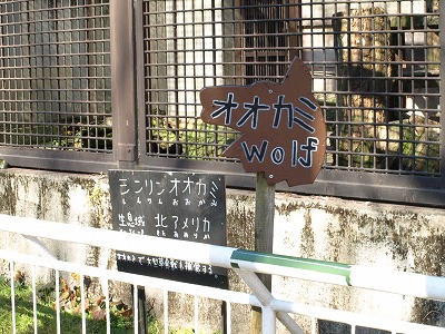 c0191646_085626.jpg