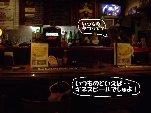 e0098547_253256.jpg
