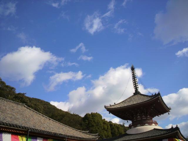 b0138748_2363666.jpg