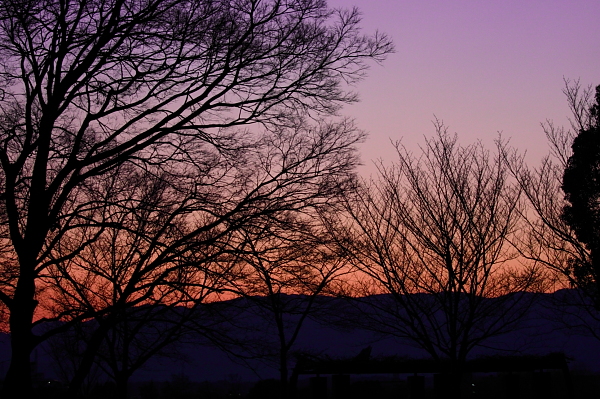 a0024250_10103126.jpg