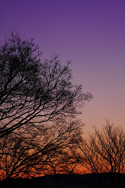 a0024250_1013526.jpg