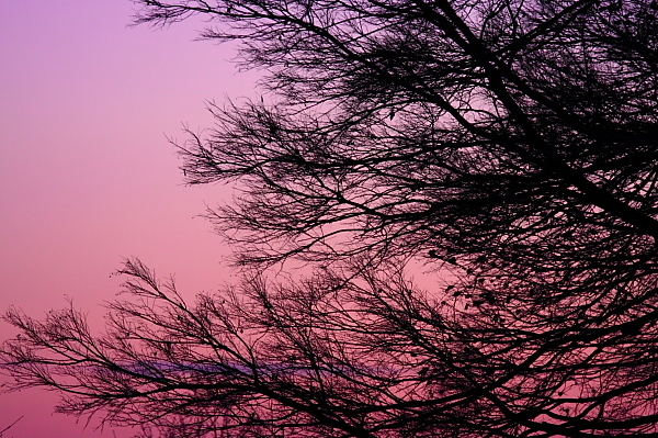 a0024250_1014749.jpg