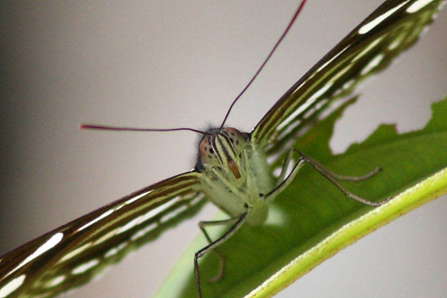a0094850_1033489.jpg