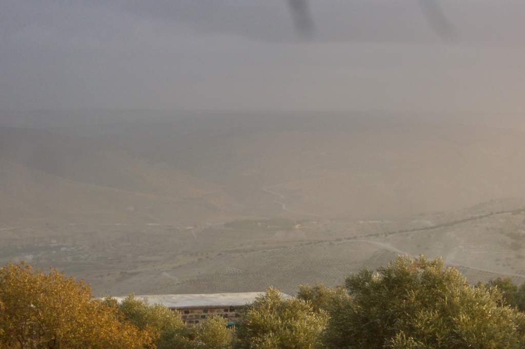 e0134856_1482490.jpg