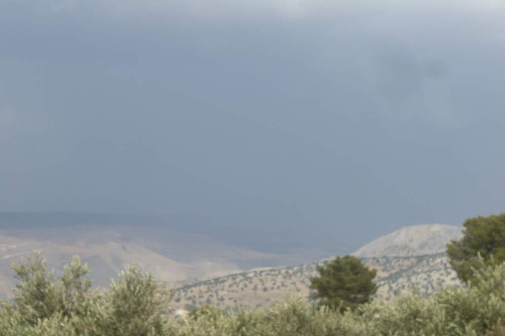 e0134856_1492778.jpg