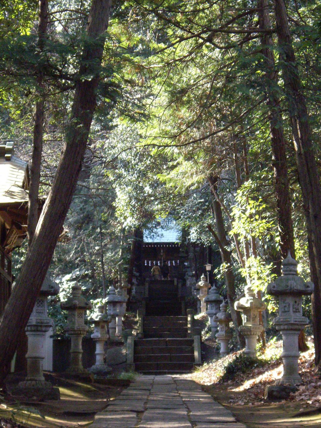 c0024558_17142254.jpg