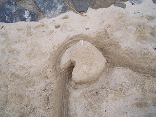d0126759_1263076.jpg
