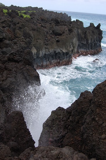 e0128367_845175.jpg