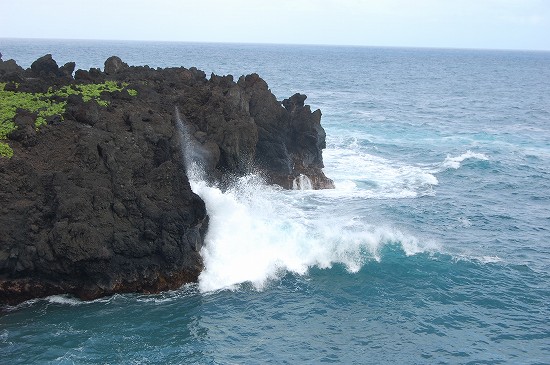 e0128367_8454597.jpg