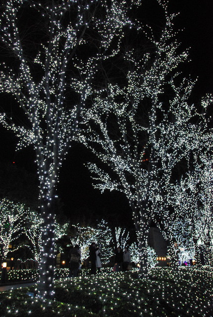 b0174068_23514092.jpg
