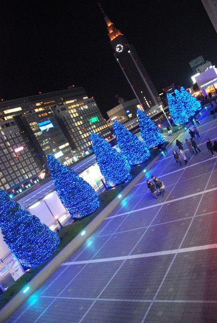 b0174068_2352356.jpg