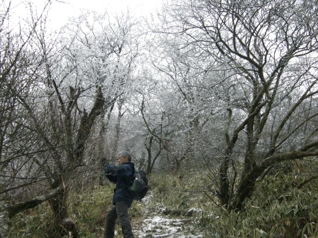 c0042869_2037087.jpg