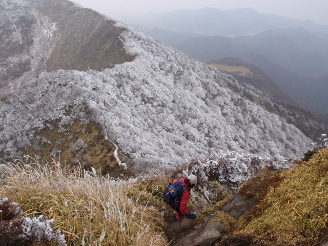 c0042869_2044595.jpg