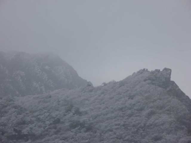 c0042869_20491989.jpg