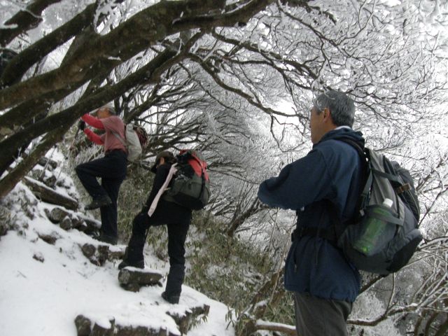 c0042869_20511221.jpg