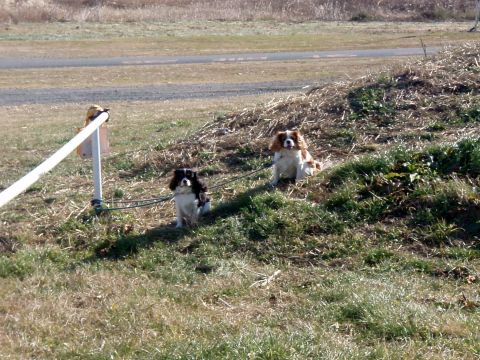 f0047773_11201649.jpg