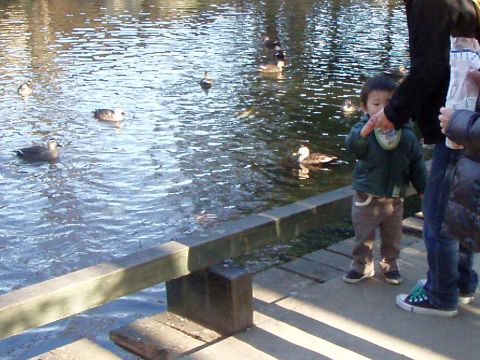 f0047773_1120362.jpg