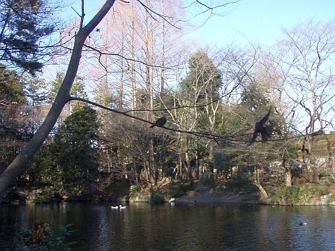f0047773_11204660.jpg