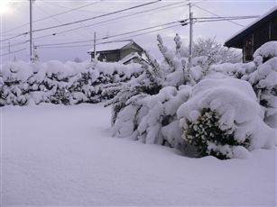 f0001378_18544448.jpg