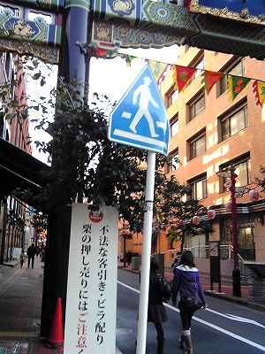 a0003079_2258360.jpg