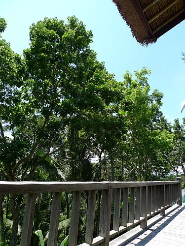 c0102085_184332.jpg