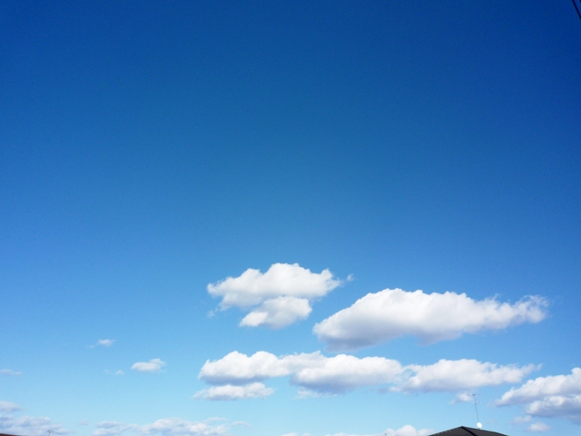 a0127090_14163898.jpg