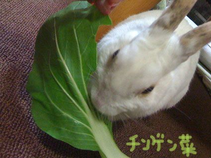 f0201191_175547.jpg