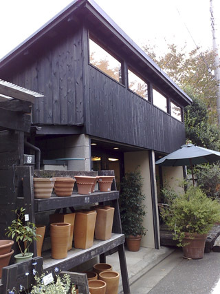 Garden Garden