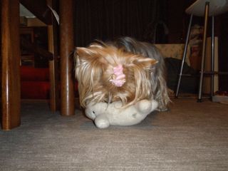 f0130894_21522042.jpg