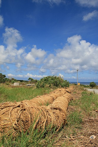 f0159297_2213365.jpg