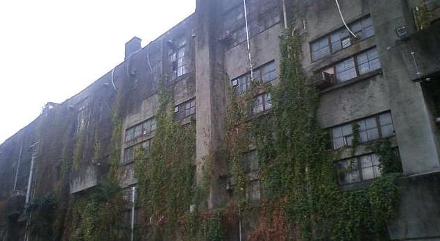 e0037600_183458100.jpg