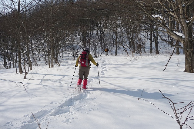 e0137200_1458055.jpg