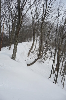 e0137200_15212857.jpg