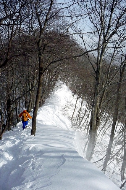 e0137200_1556258.jpg