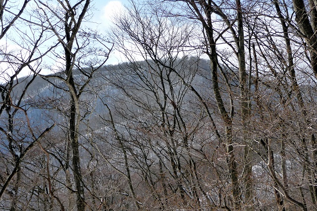 e0137200_1614490.jpg