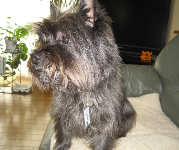 d0009101_21292714.jpg
