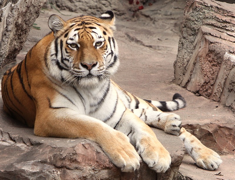 d0150702_2225890.jpg