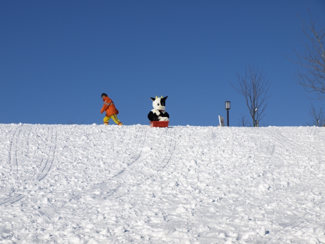 f0020302_2016282.jpg