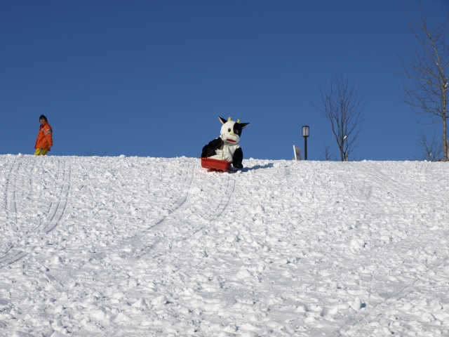 f0020302_20165427.jpg
