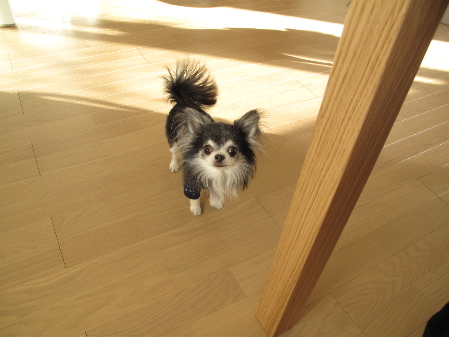 a0079803_1742237.jpg