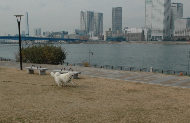 e0018604_16414698.jpg